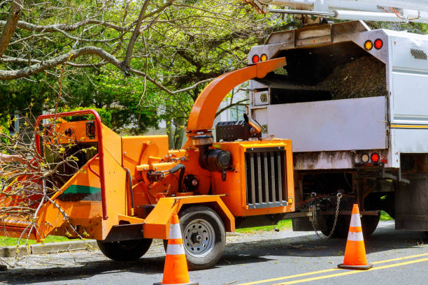 Best Utility Line Clearance  in Cabot, AR